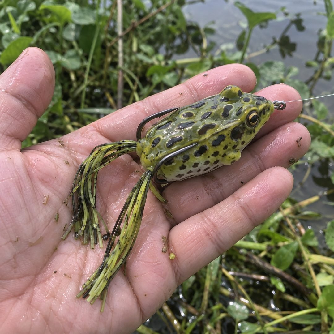 Isca Frog para pesca junto à vegetação